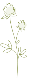 Von der Wiese Icon Blume