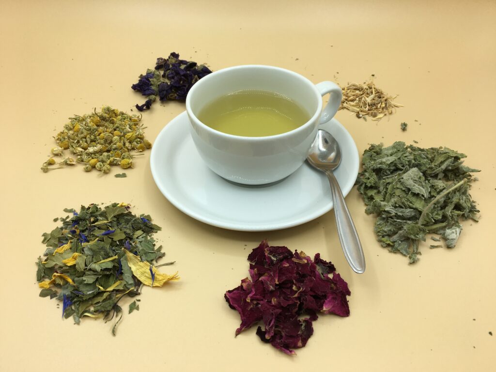 Teetasse mit verschiedenen Teepflanzen