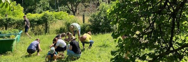 Gruppe beim Kräutersammeln