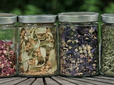 Kräutertees für die Hausapotheke