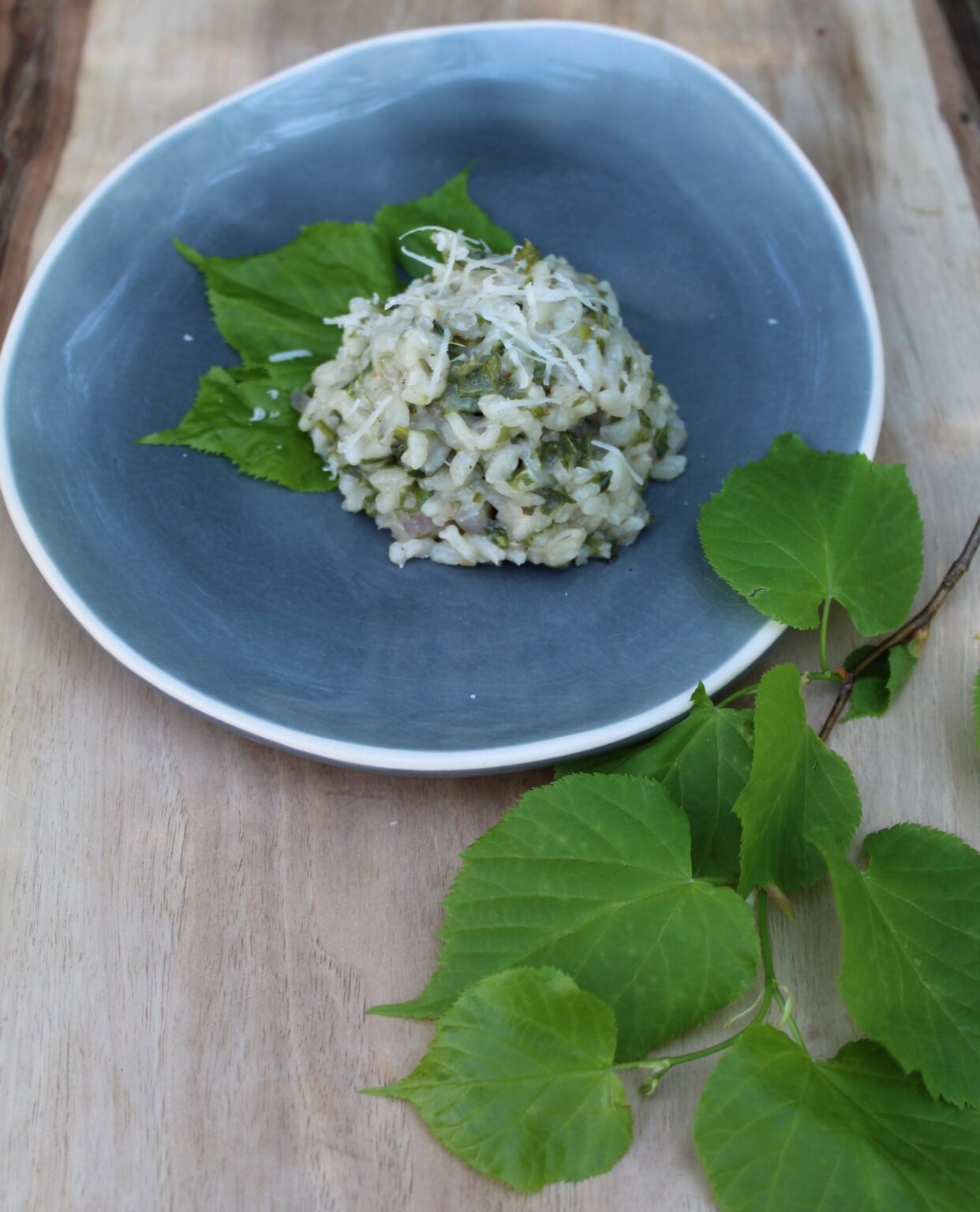 Linde – ein essbarer Baum - Von der Wiese
