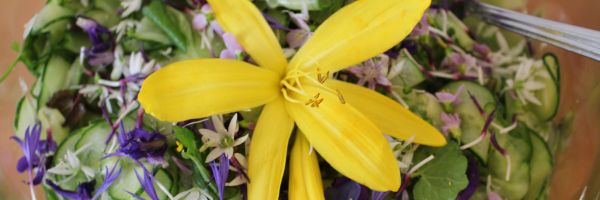 Salat mit Taglilienblüte